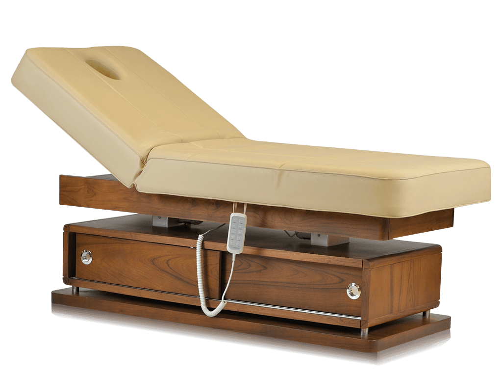 Mudit Electric Massage Bed