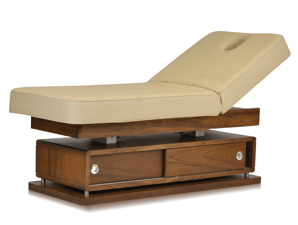 Mudit Electric Massage Bed